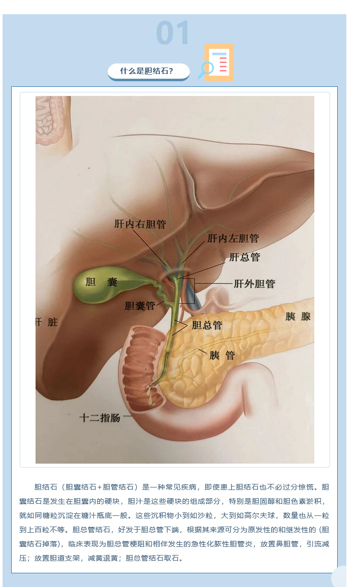 火狐截圖_2023-11-28T06-45-03_02.jpg